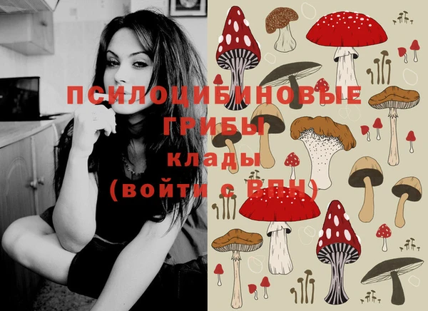не бодяженный Приозерск