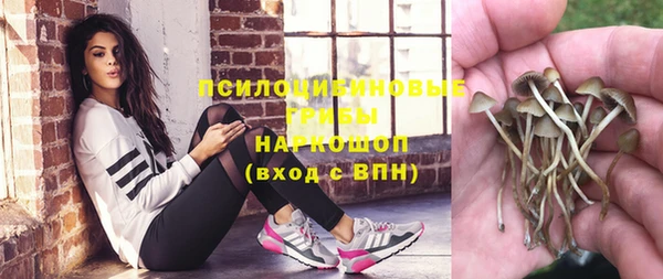 не бодяженный Приозерск