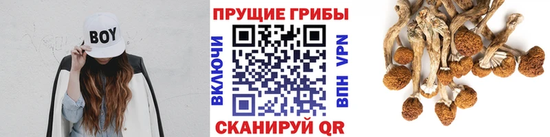 Псилоцибиновые грибы мухоморы  Альметьевск 