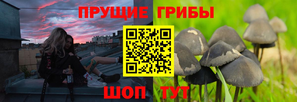 Псилоцибиновые грибы ЛСД  Вход с VPN  Альметьевск 